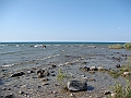 Western Michigan [2010] 783